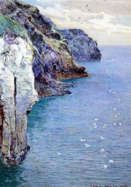 John White (1851-1933) Bossiney Cove, Cornwall 13.5 x 10in.